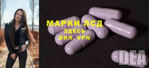 a pvp Алзамай